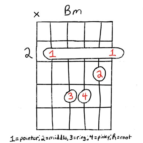 Bm11 Chord On The Guitar (B minor 11) – Diagrams, Finger Positions and Theory. The Bm11 chord (B minor 11) contains the notes B, D, F#, A and E. It is produced by taking the 1, b3, 5, b7 and 11 (same as 4) of the B Major scale. The Bm11 chord has a …